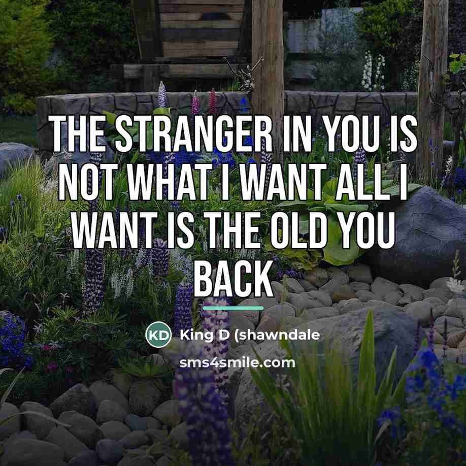 “The stranger in you is not what I want all…” quote by King D