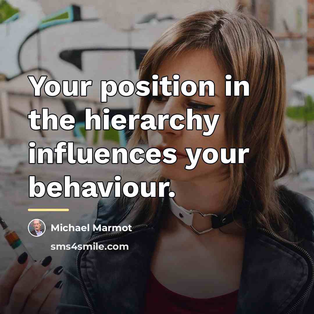 “Your position in the hierarchy influences your behaviour.…” quote by Michael Marmot