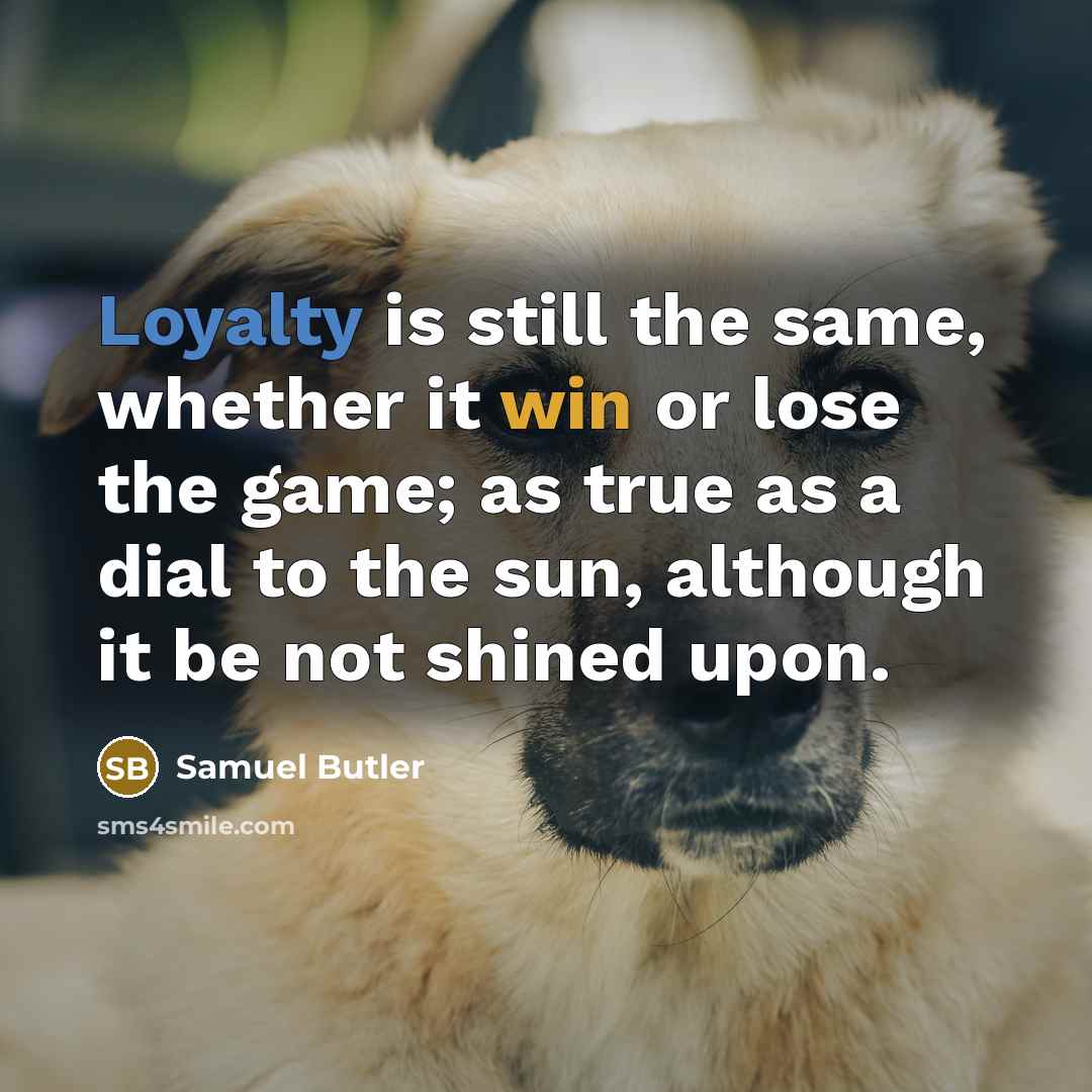 “Loyalty is still the same, whether it win or lose the game; as true as a dial to the sun, although it be not shined upon.” quote by Samuel Butler