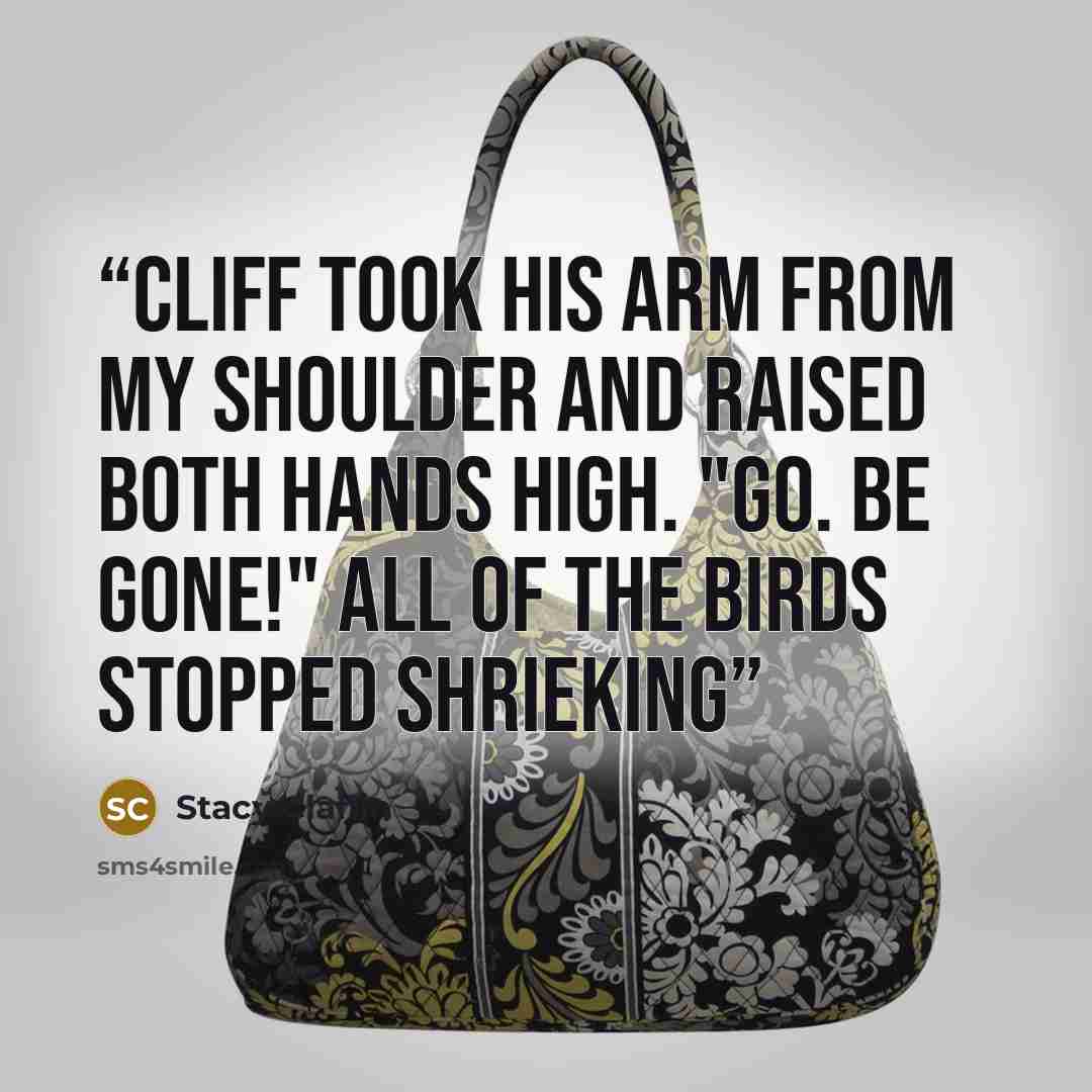 “Cliff took his arm from my shoulder and raised both hands high. "Go. Be gone!" All of the birds stopped shrieking” quote by Stacy Claflin
