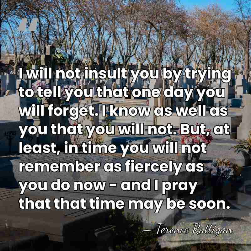 I will not insult you by trying to tell you that one&hellip; - Terence Rattigan