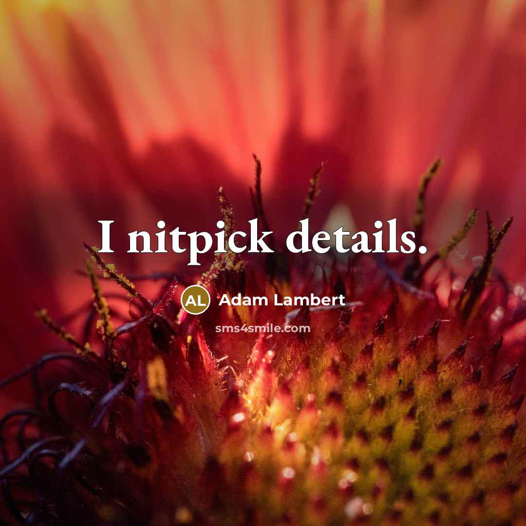 “I nitpick details.…” quote by Adam Lambert