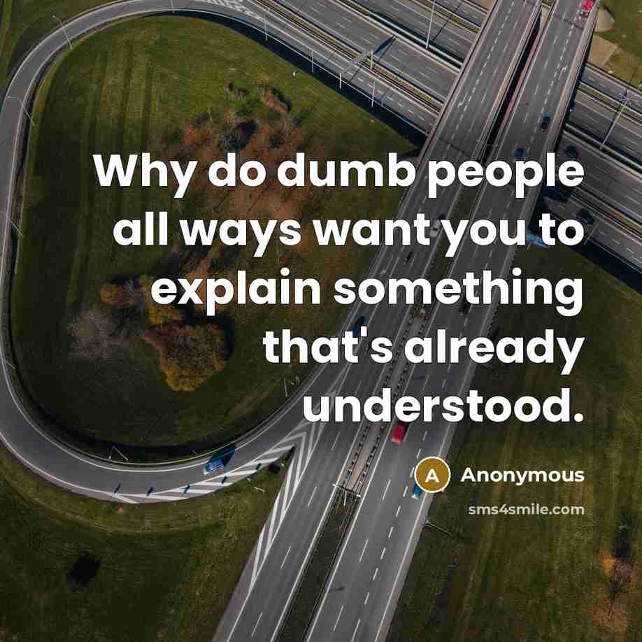 “Why do dumb people all ways want you to explain…” quote by Anonymous