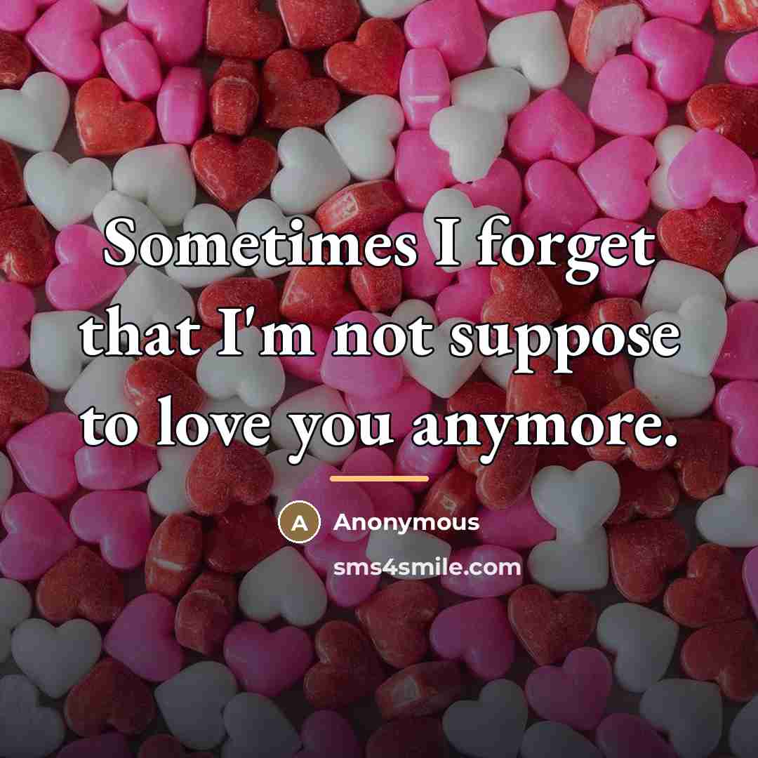 “Sometimes I forget that I'm not suppose to love you…” quote by Anonymous