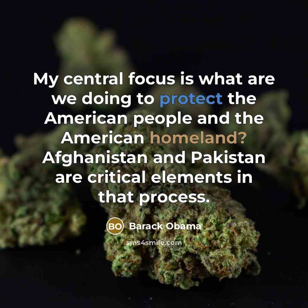 “My central focus is what are we doing to protect…” quote by Barack Obama