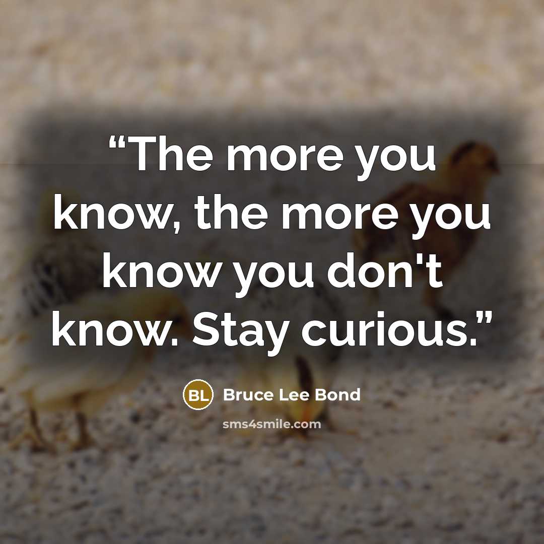“The more you know, the more you know you don't know. Stay curious.” quote by Bruce Lee Bond