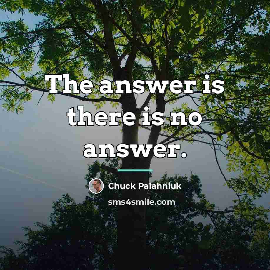“The answer is there is no answer.…” quote by Chuck Palahniuk
