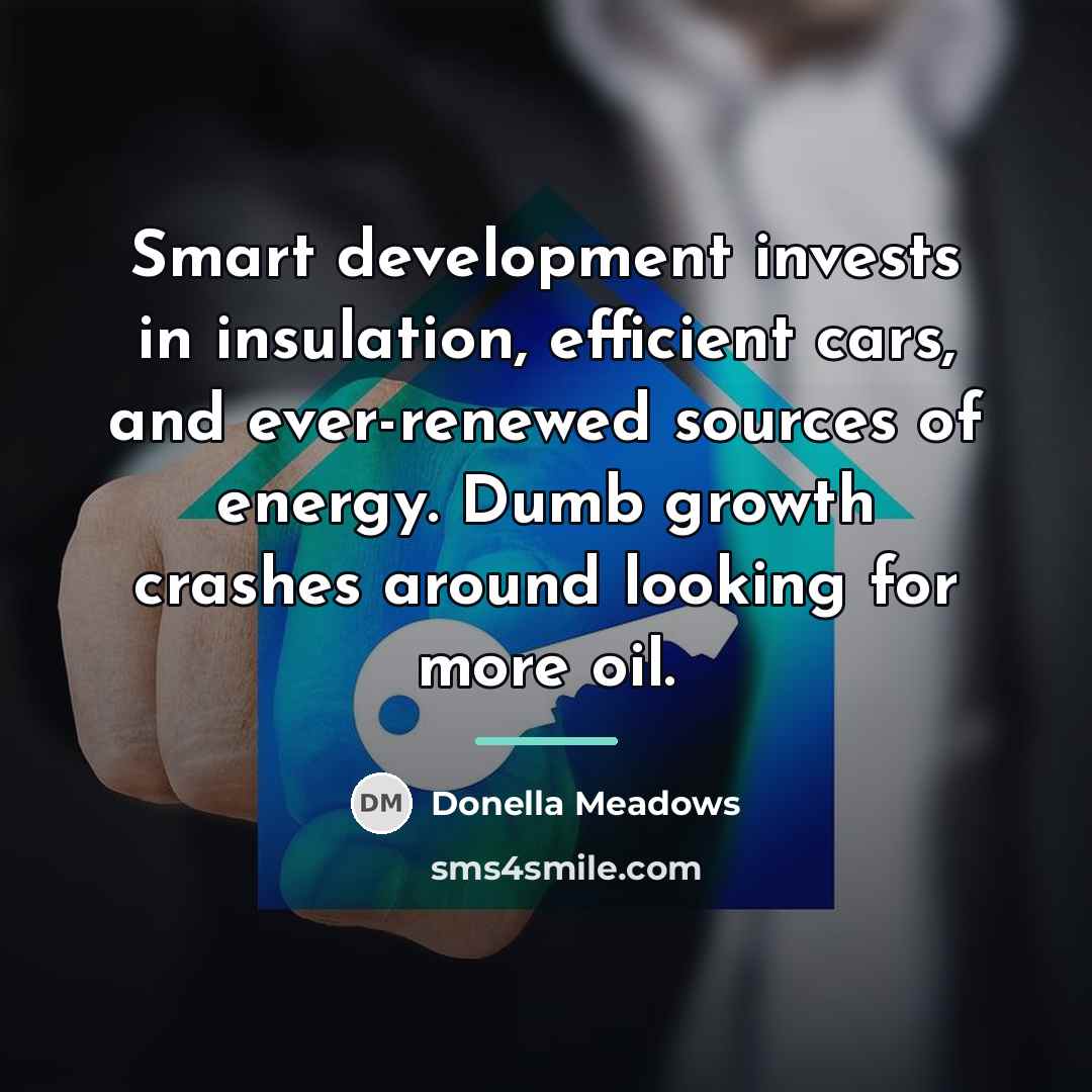 “Smart development invests in insulation, efficient cars, and ever-renewed sources…” quote by Donella Meadows