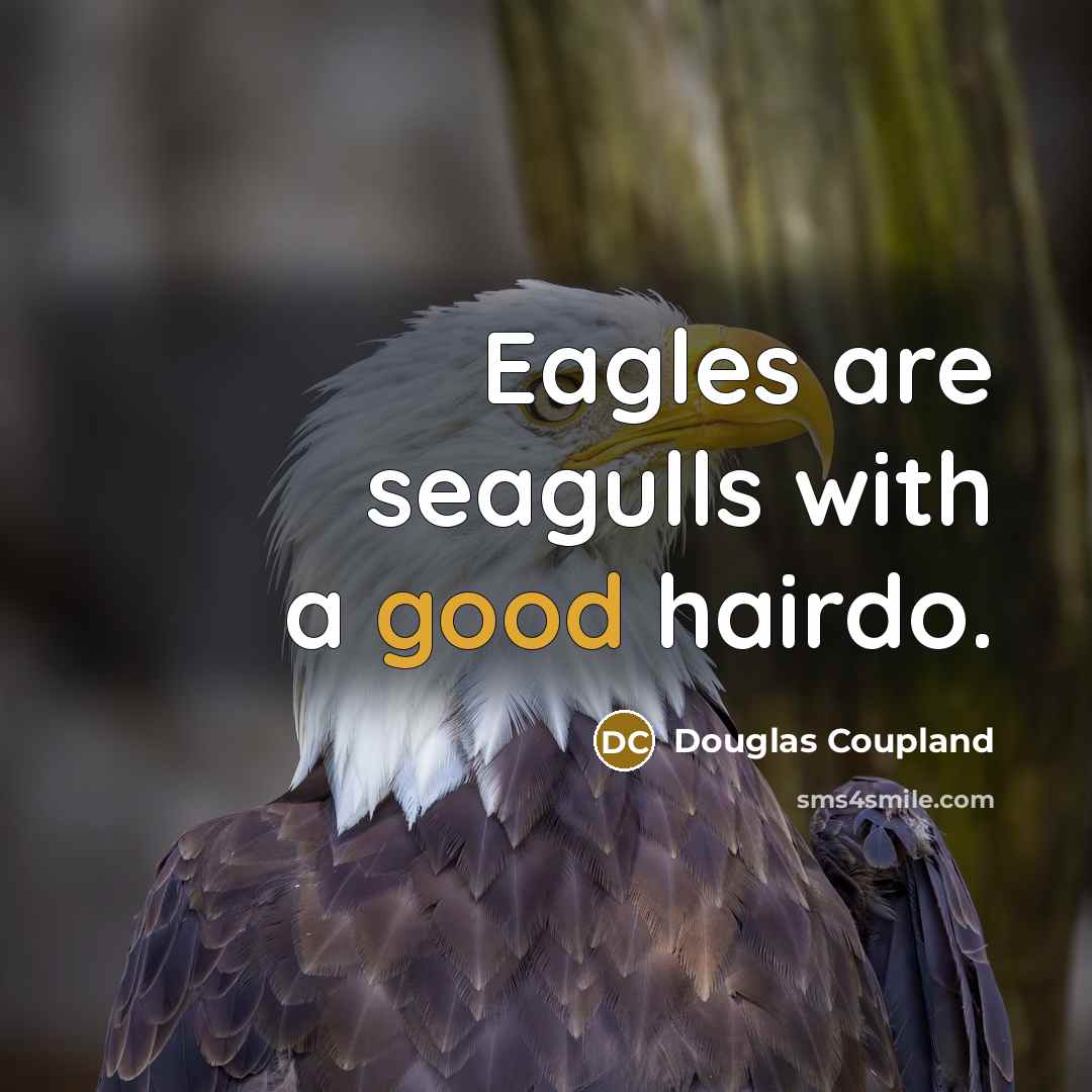 “Eagles are seagulls with a good hairdo.…” quote by Douglas Coupland
