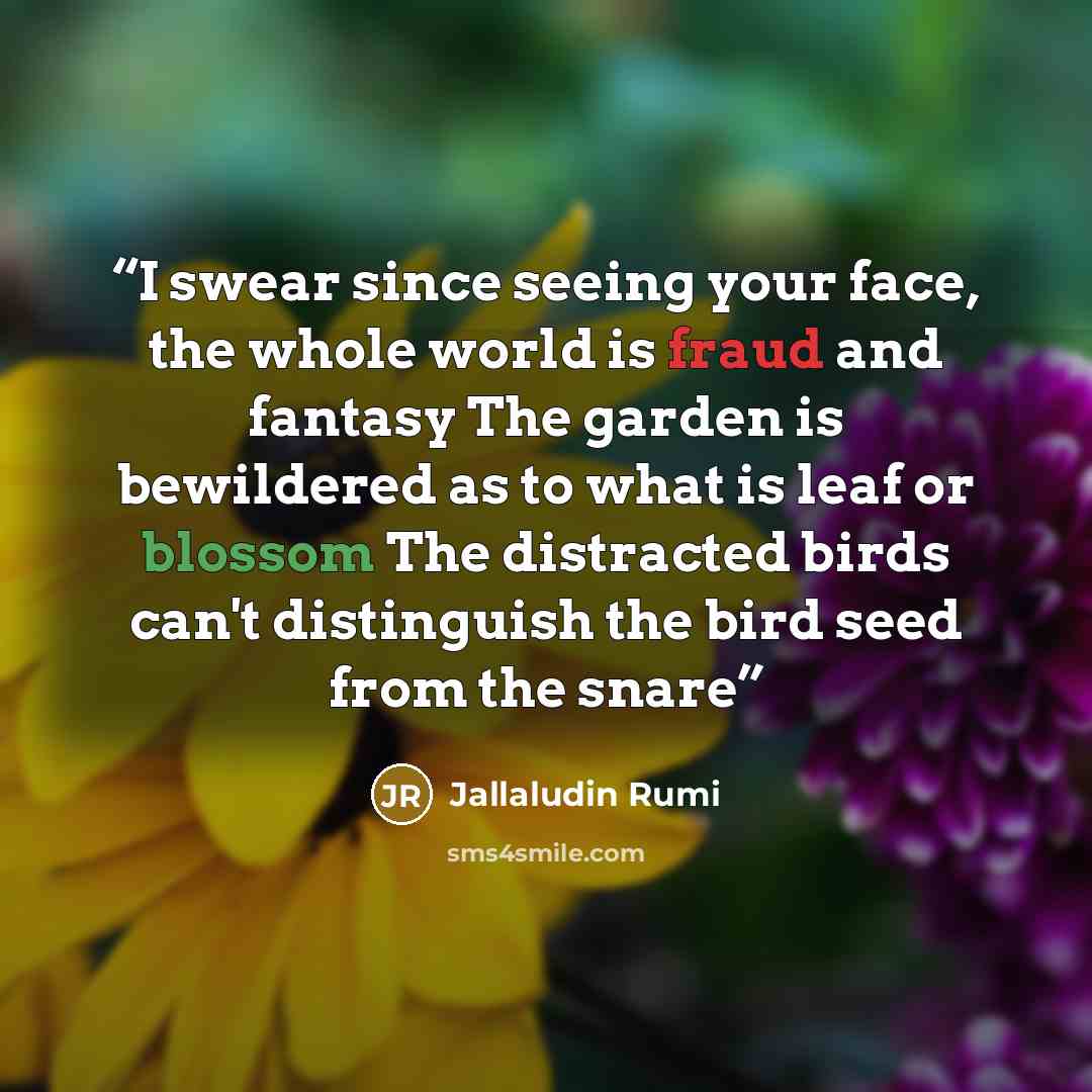 “I swear since seeing your face, the whole world is fraud and fantasy The garden is bewildered as to what is leaf or blossom The distracted birds can't distinguish the bird seed from the snare” quote by Jallaludin Rumi