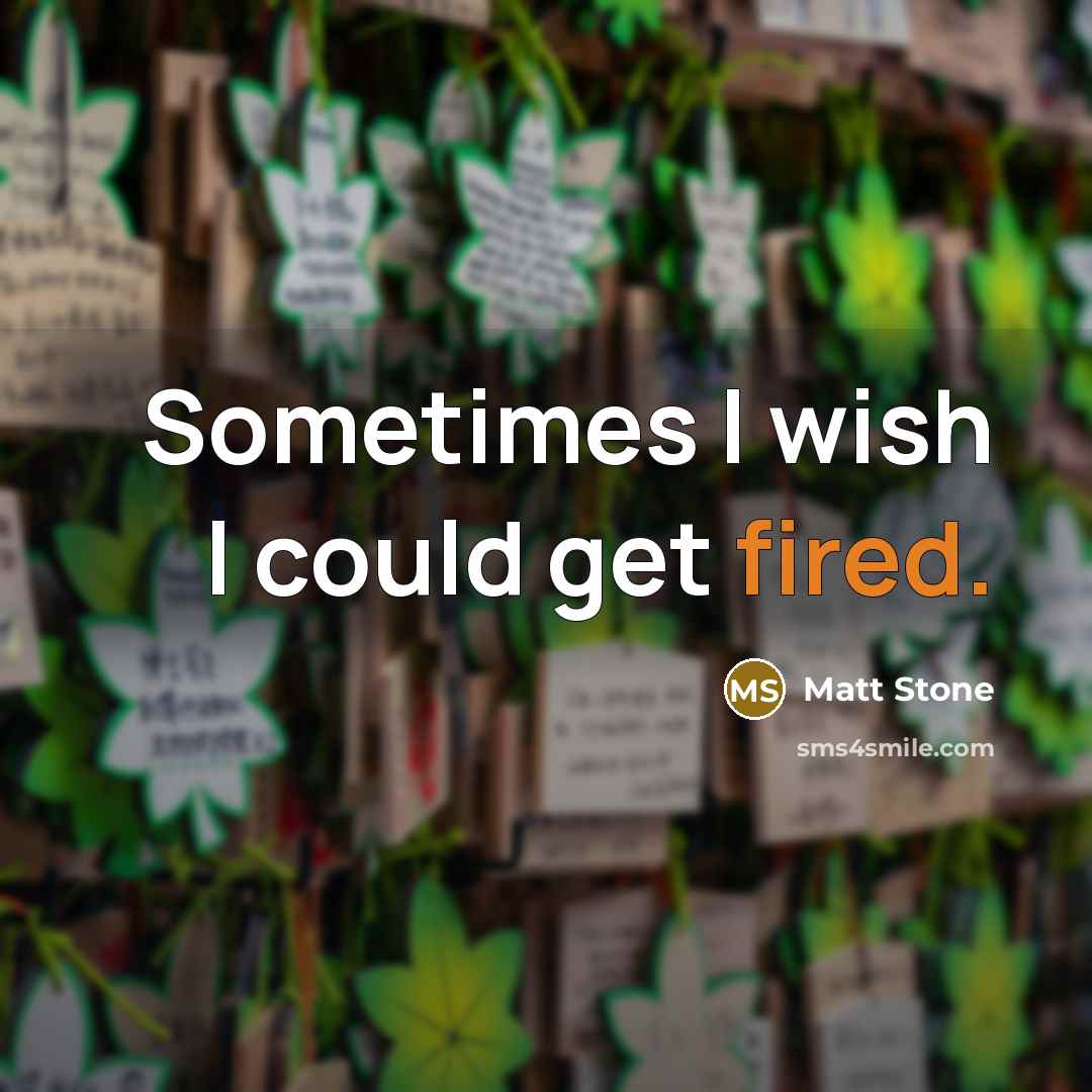 “Sometimes I wish I could get fired.” quote by Matt Stone