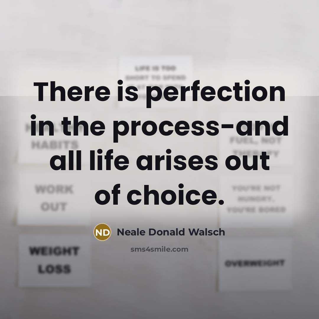 “There is perfection in the process-and all life arises out…” quote by Neale Donald Walsch