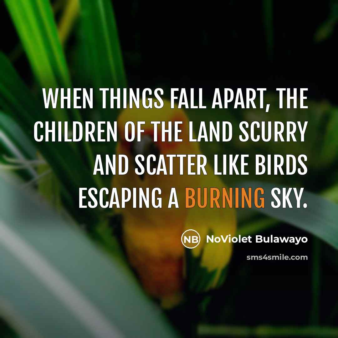 “When things fall apart, the children of the land scurry…” quote by NoViolet Bulawayo