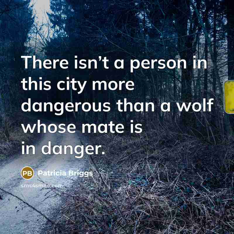 “There isn’t a person in this city more dangerous than…” quote by Patricia Briggs