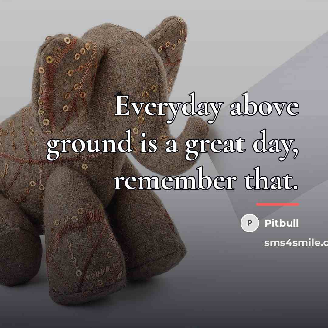 “Everyday above ground is a great day, remember that.…” quote by Pitbull