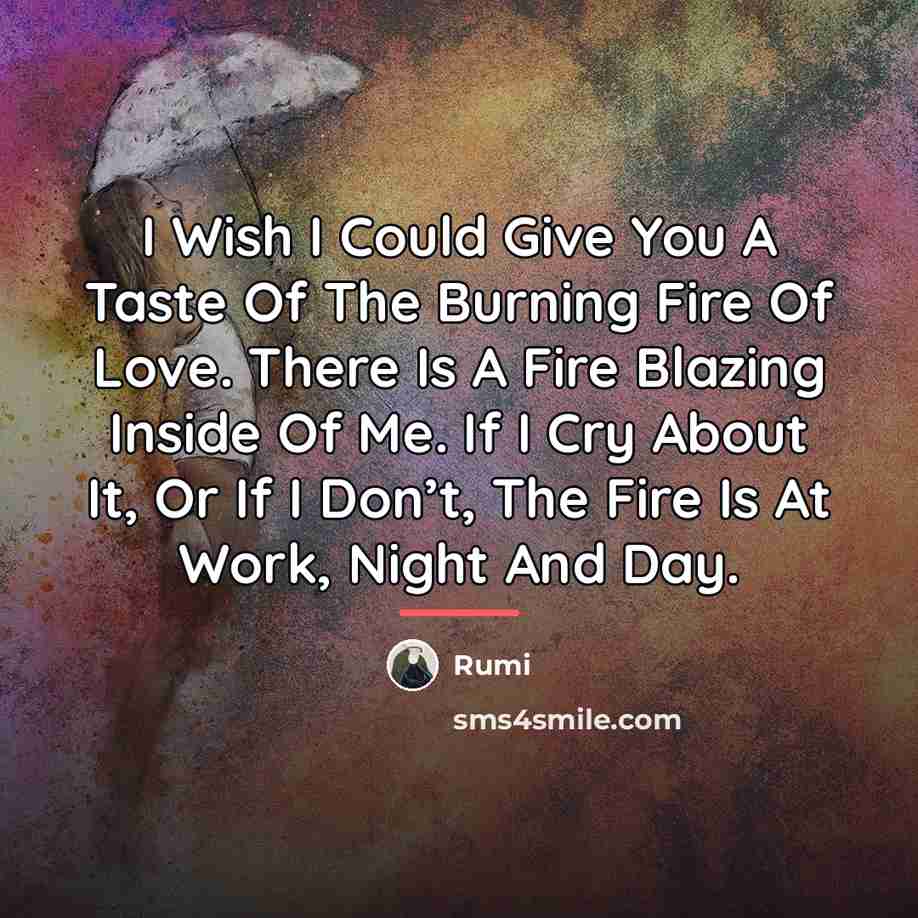 “I Wish I Could Give You A Taste Of The…” quote by Rumi