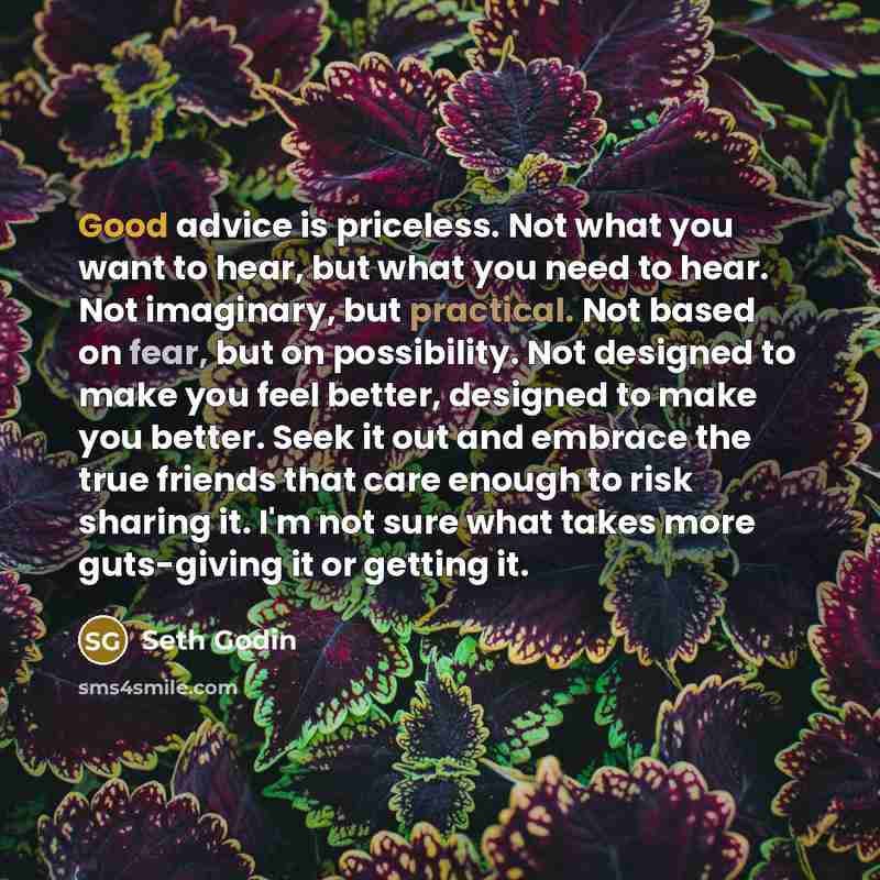 “Good advice is priceless. Not what you want to hear,…” quote by Seth Godin