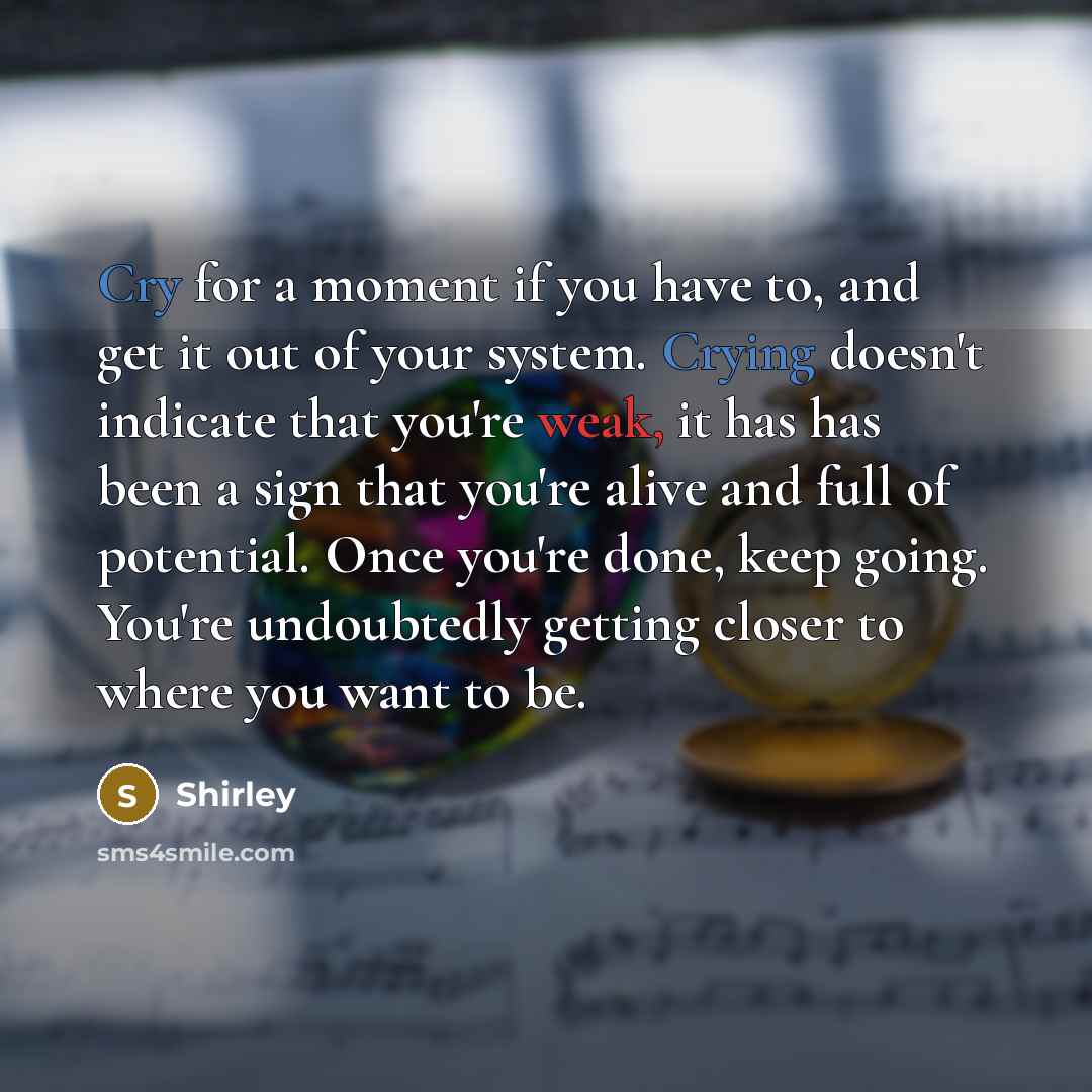 “Cry for a moment if you have to, and get it out of your system. Crying doesn't indicate that you're weak, it has has been a sign that you're alive and full of potential. Once you're done, keep going. You're undoubtedly getting closer to where you want to be.” quote by Shirley