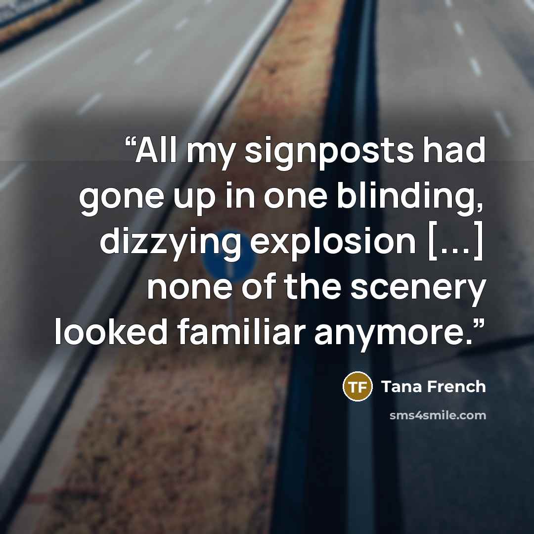 “All my signposts had gone up in one blinding, dizzying explosion [...] none of the scenery looked familiar anymore.” quote by Tana French