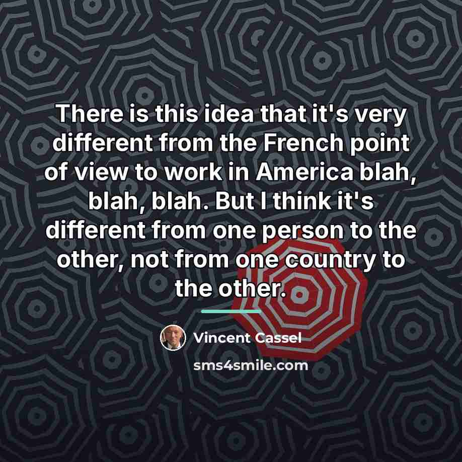 “There is this idea that it's very different from the…” quote by Vincent Cassel