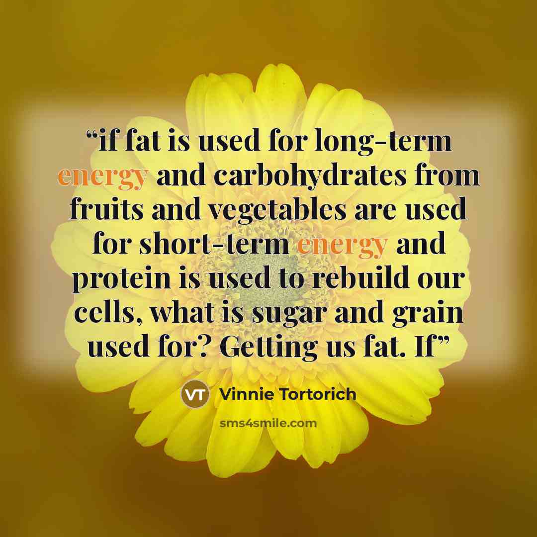 “if fat is used for long-term energy and carbohydrates from fruits and vegetables are used for short-term energy and protein is used to rebuild our cells, what is sugar and grain used for? Getting us fat. If” quote by Vinnie Tortorich