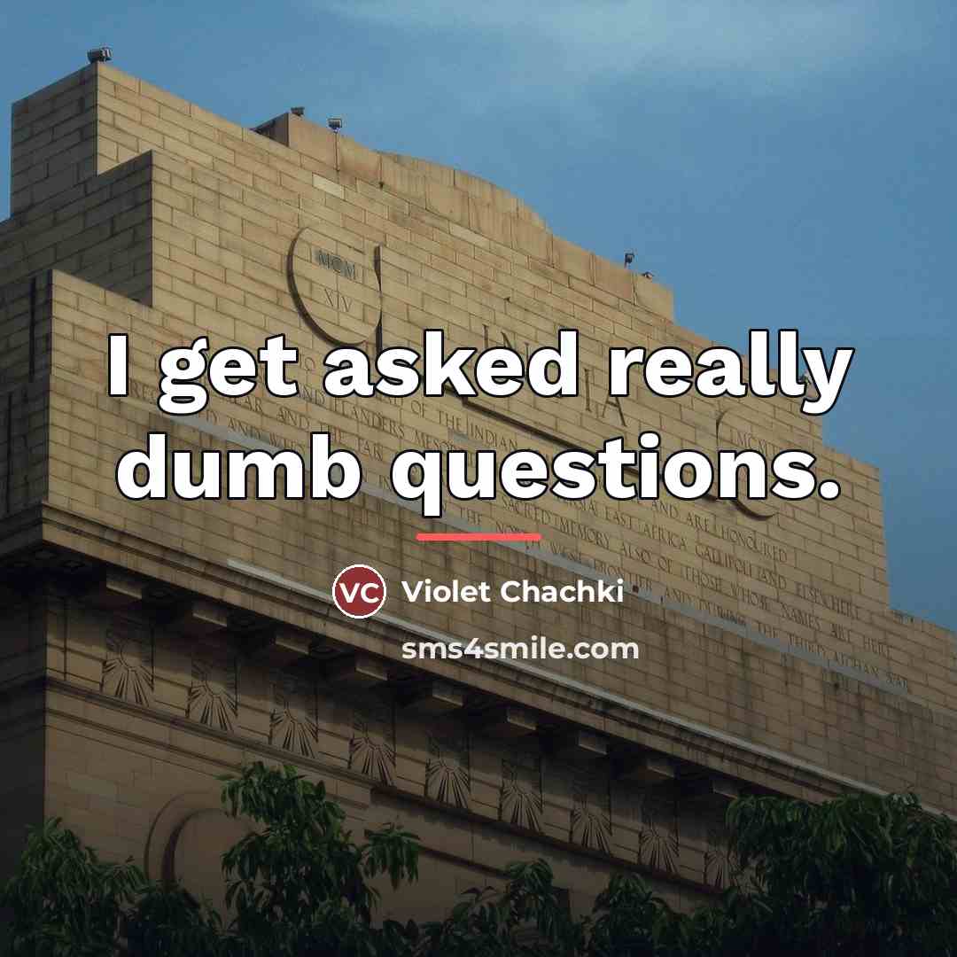 “I get asked really dumb questions.…” quote by Violet Chachki