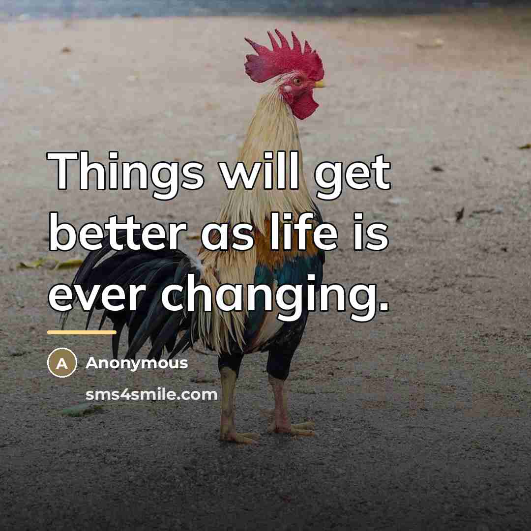 “Things will get better as life is ever changing.…” quote by Anonymous