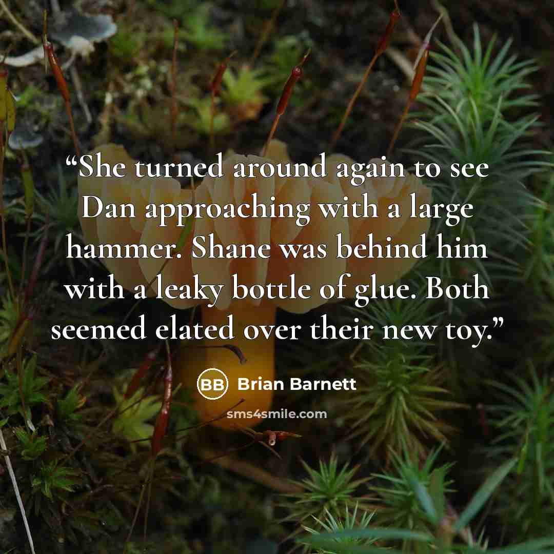 “She turned around again to see Dan approaching with a large hammer. Shane was behind him with a leaky bottle of glue. Both seemed elated over their new toy.” quote by Brian Barnett