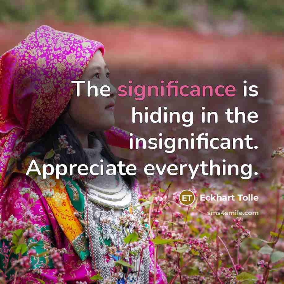 “The significance is hiding in the insignificant. Appreciate everything.…” quote by Eckhart Tolle