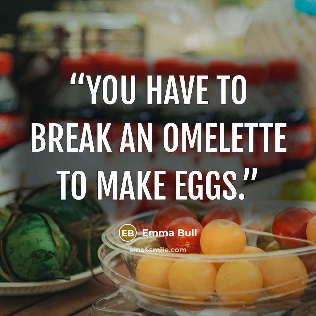 “You have to break an omelette to make eggs.” quote by Emma Bull