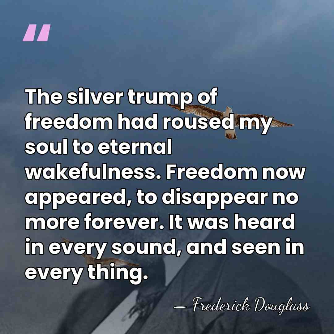 The silver trump of freedom had roused my soul to eternal wakefulness.&hellip; - Frederick Douglass