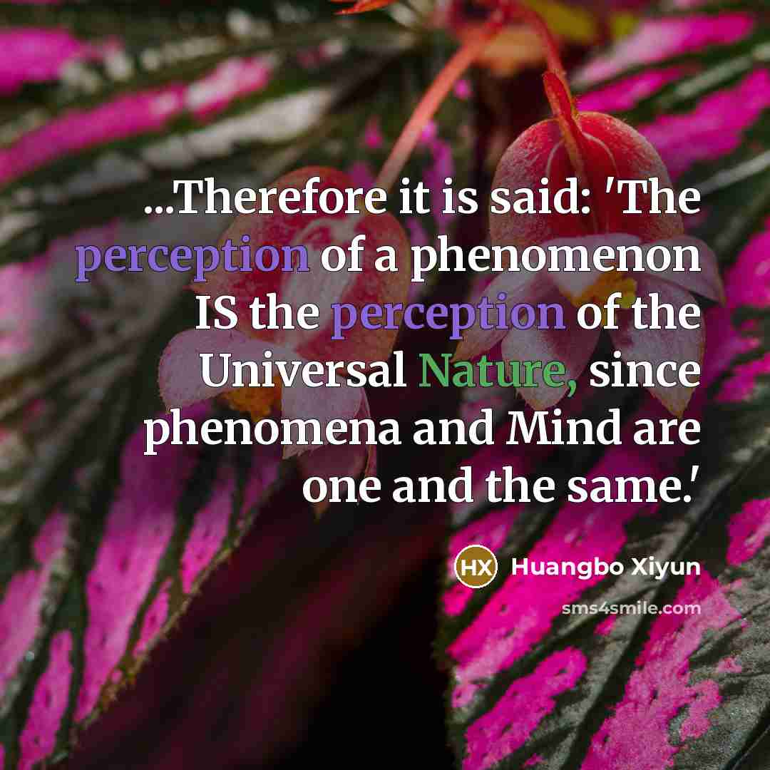 “...Therefore it is said: 'The perception of a phenomenon IS…” quote by Huangbo Xiyun