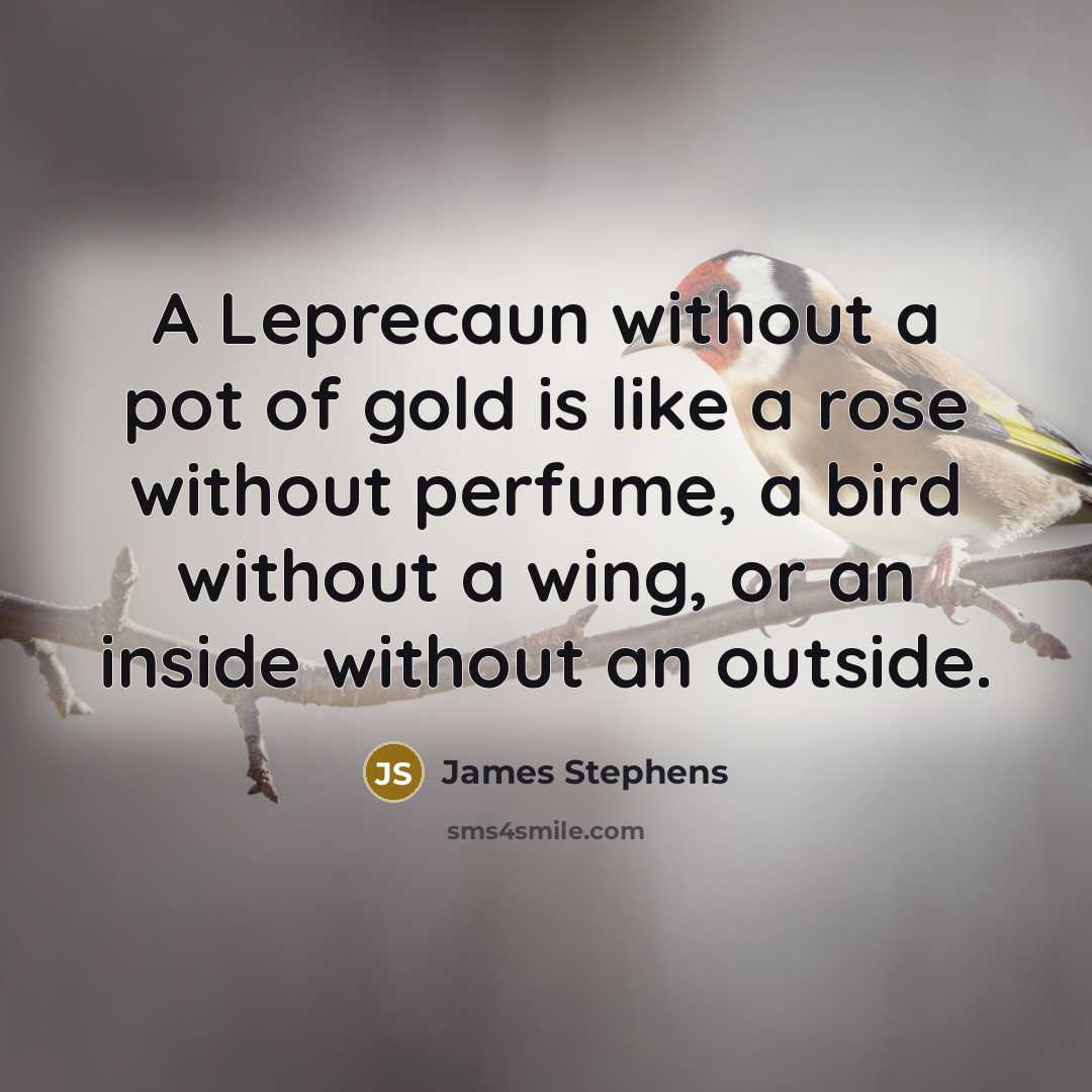 “A Leprecaun without a pot of gold is like a…” quote by James Stephens