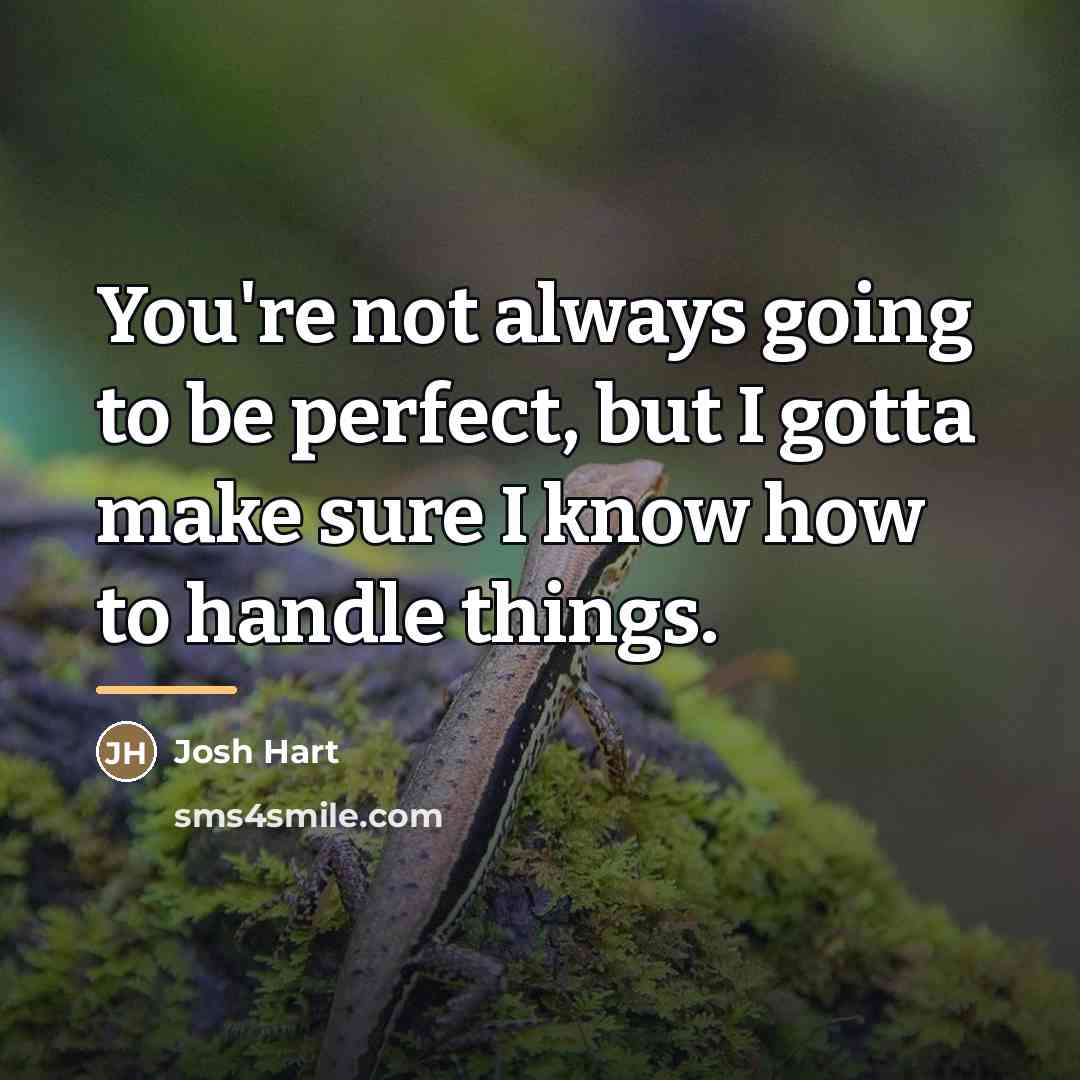 “You're not always going to be perfect, but I gotta…” quote by Josh Hart