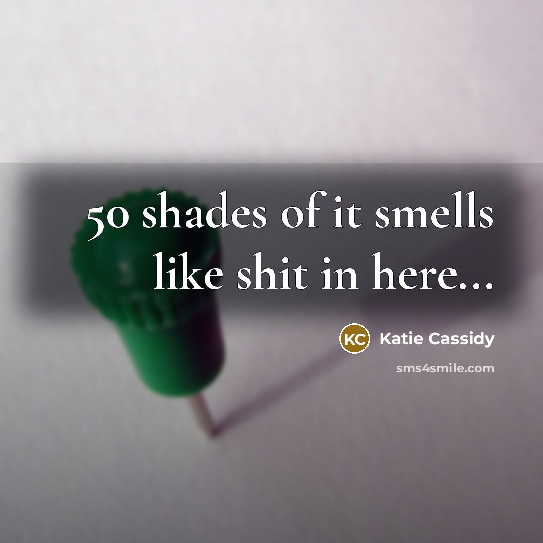 “50 shades of it smells like shit in here...” quote by Katie Cassidy