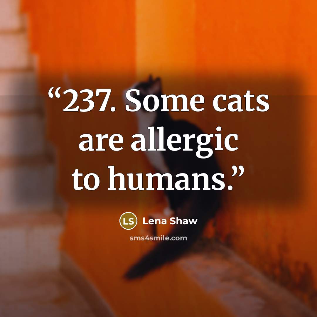 “237. Some cats are allergic to humans.” quote by Lena Shaw