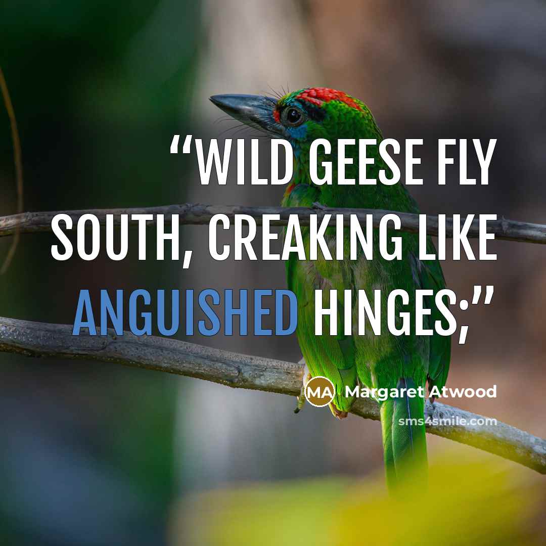 “Wild geese fly south, creaking like anguished hinges;” quote by Margaret Atwood