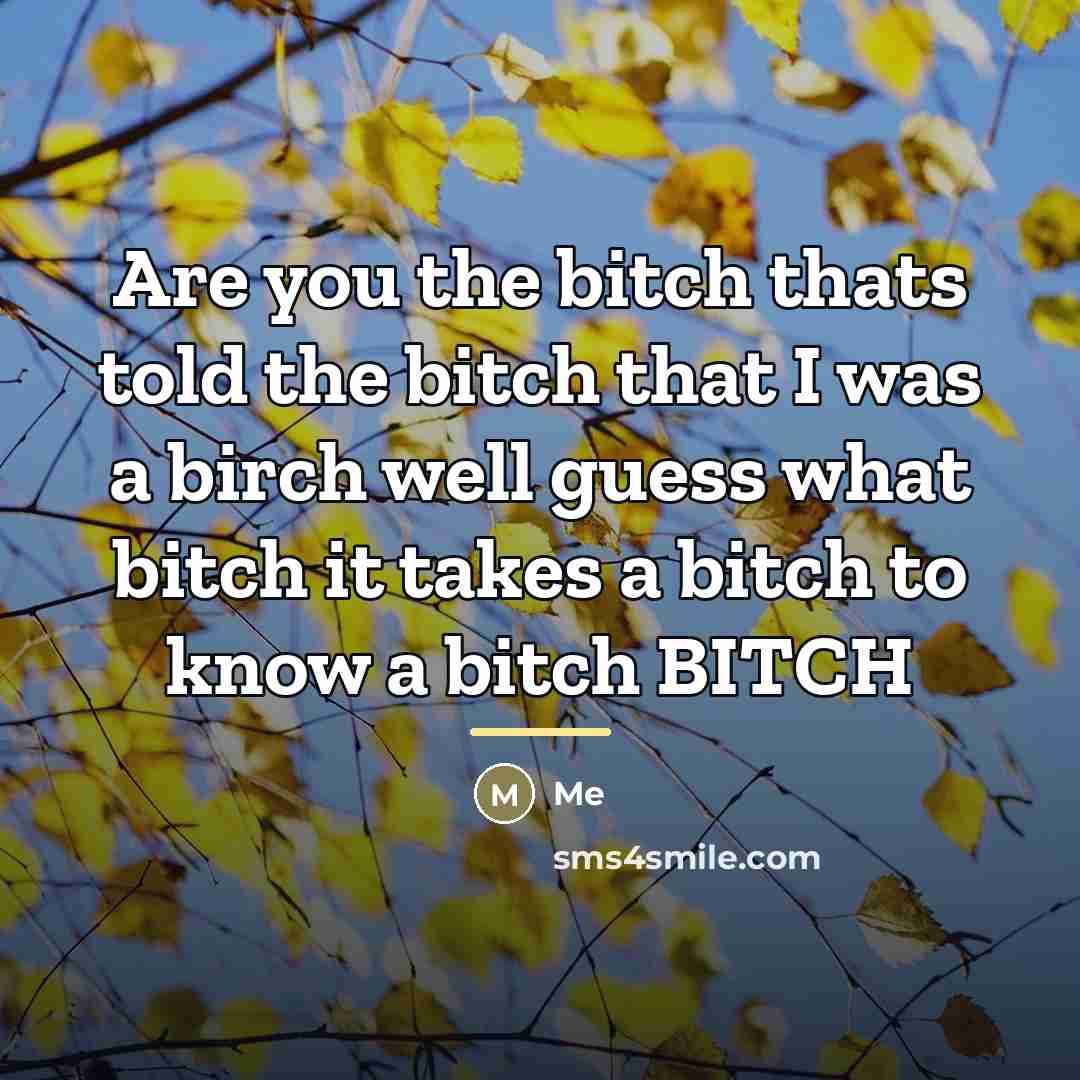 “Are you the bitch thats told the bitch that I…” quote by Me