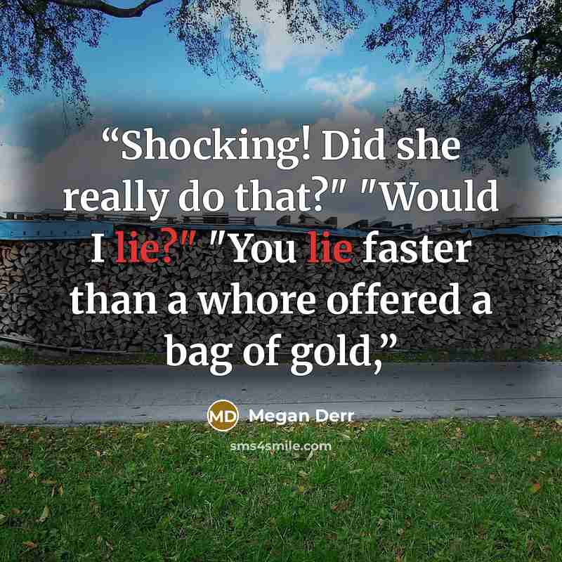 “Shocking! Did she really do that?" "Would I lie?" "You lie faster than a whore offered a bag of gold,” quote by Megan Derr