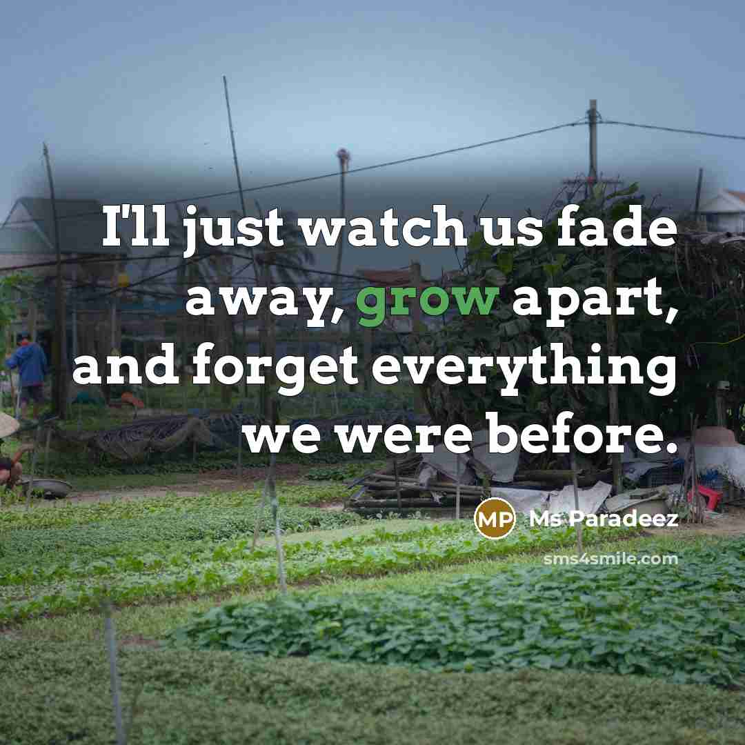 “I'll just watch us fade away, grow apart, and forget…” quote by Ms Paradeez
