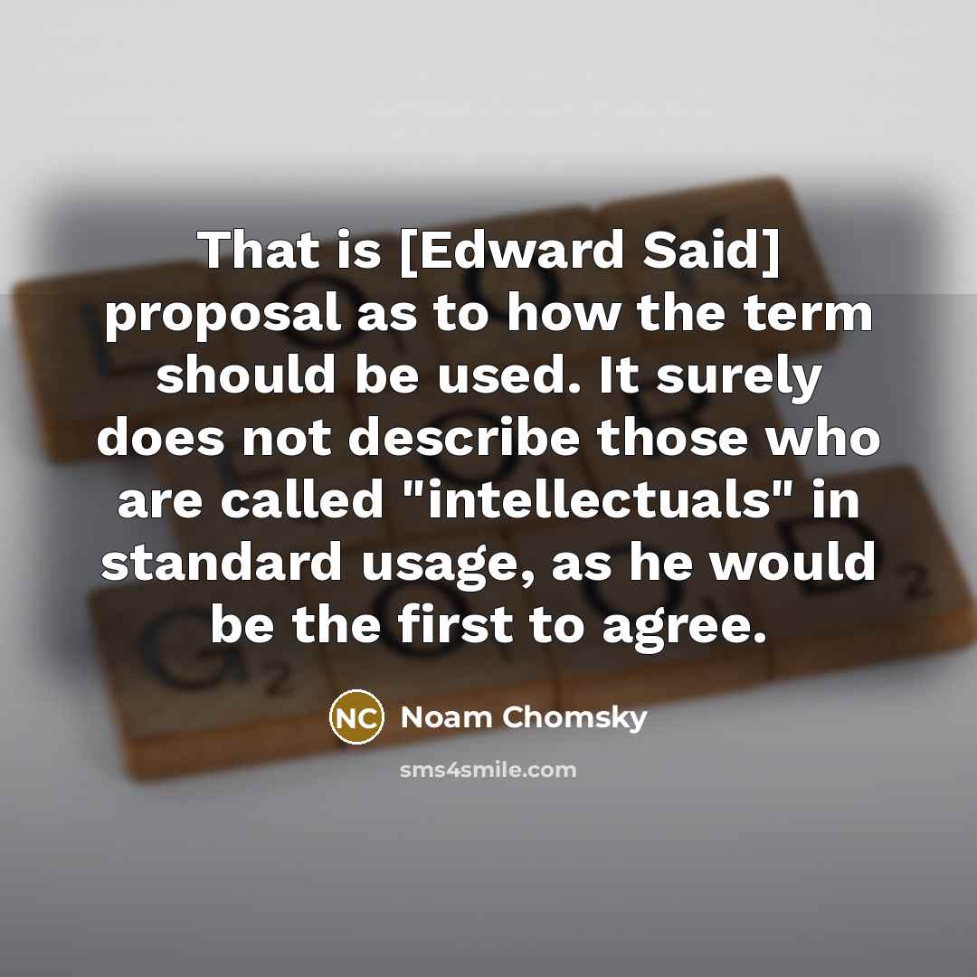 “That is [Edward Said] proposal as to how the term…” quote by Noam Chomsky