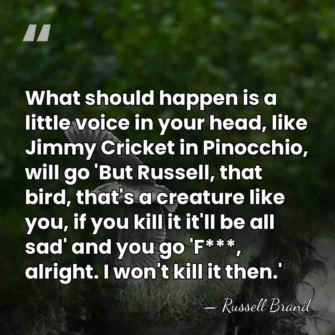 What should happen is a little voice in your head, like Jimmy&hellip; - Russell Brand