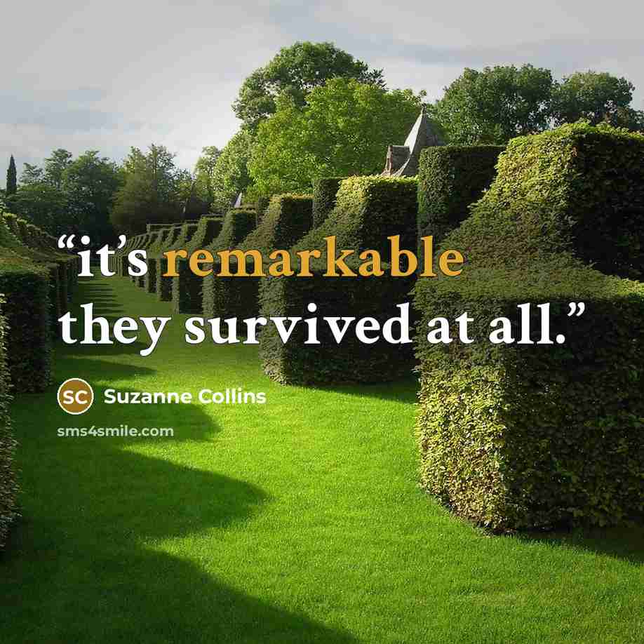 “it’s remarkable they survived at all.” quote by Suzanne Collins
