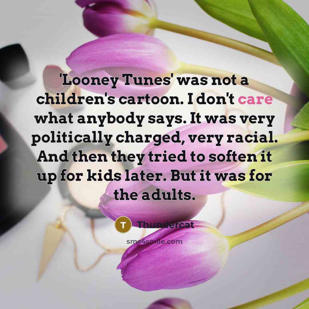 “'Looney Tunes' was not a children's cartoon. I don't care…” quote by Thundercat