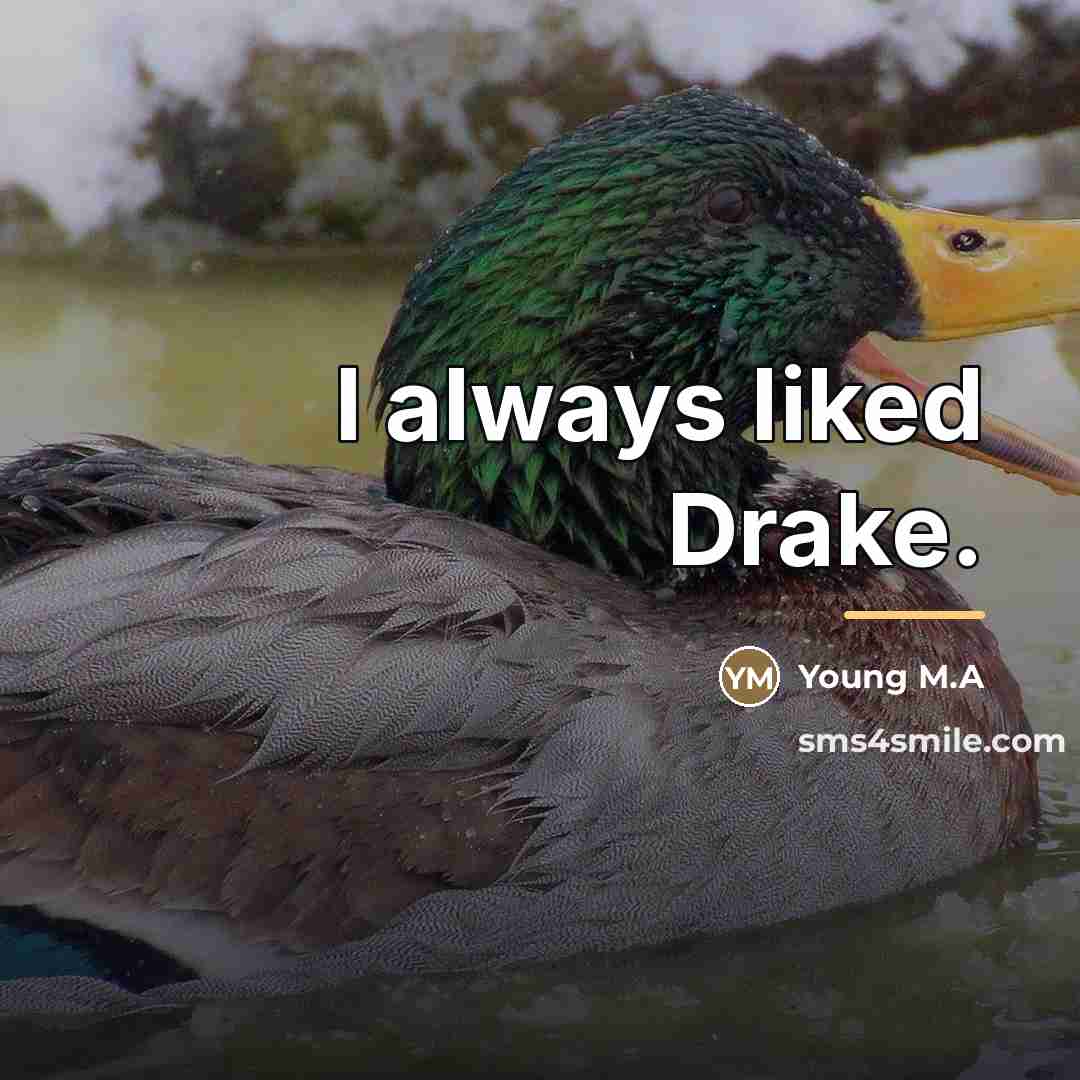 “I always liked Drake.…” quote by Young M.A
