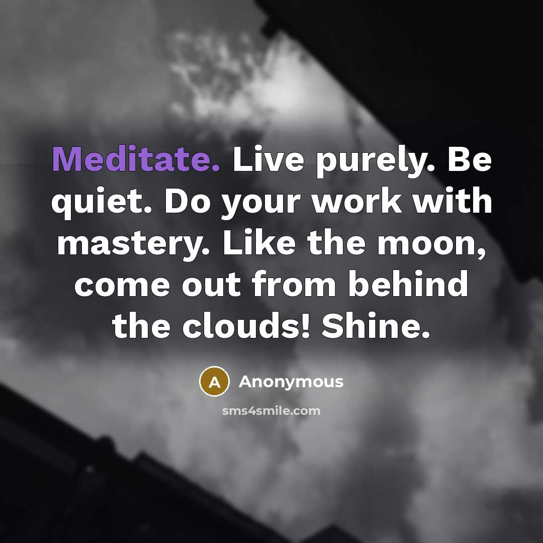 “Meditate. Live purely. Be quiet. Do your work with mastery.…” quote by Anonymous