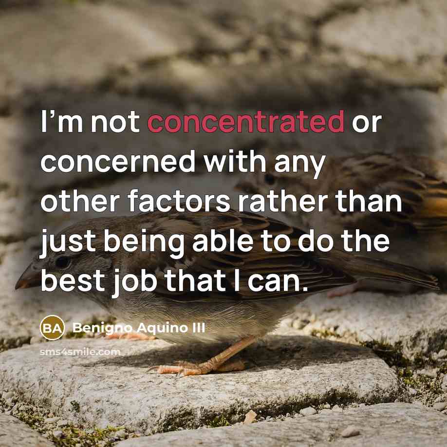 “I'm not concentrated or concerned with any other factors rather…” quote by Benigno Aquino III