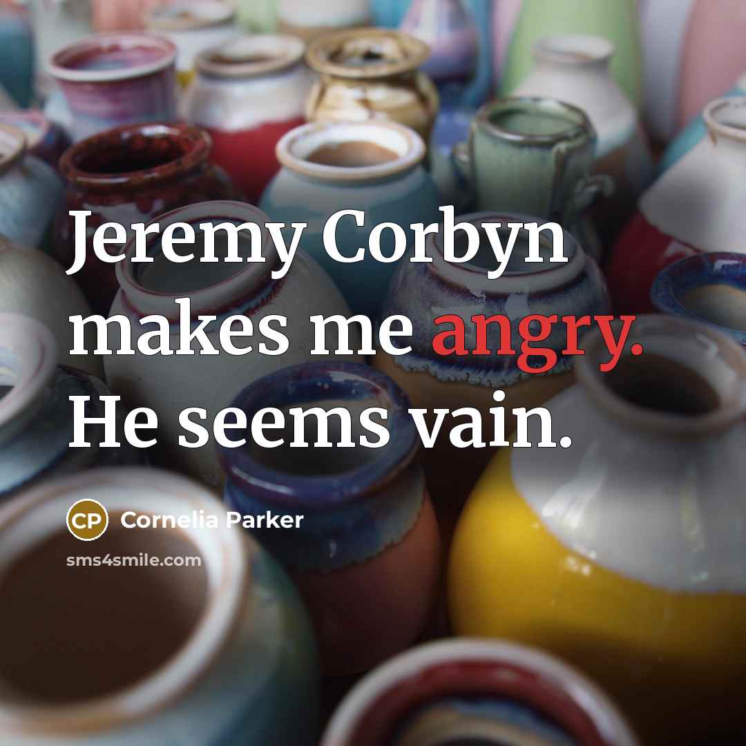 “Jeremy Corbyn makes me angry. He seems vain.…” quote by Cornelia Parker