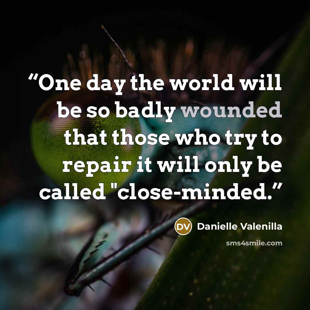 “One day the world will be so badly wounded that those who try to repair it will only be called "close-minded.” quote by Danielle Valenilla