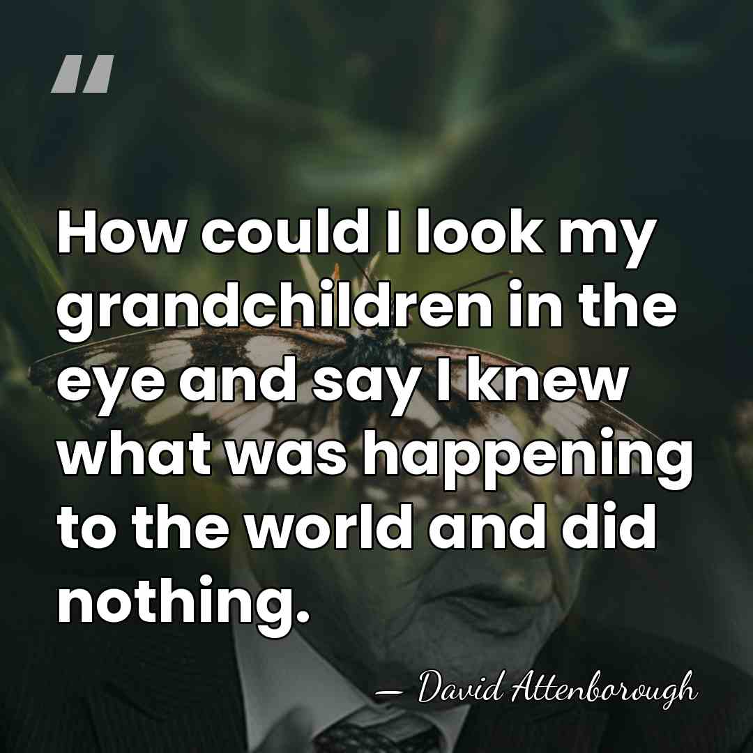 How could I look my grandchildren in the eye and say I&hellip; - David Attenborough